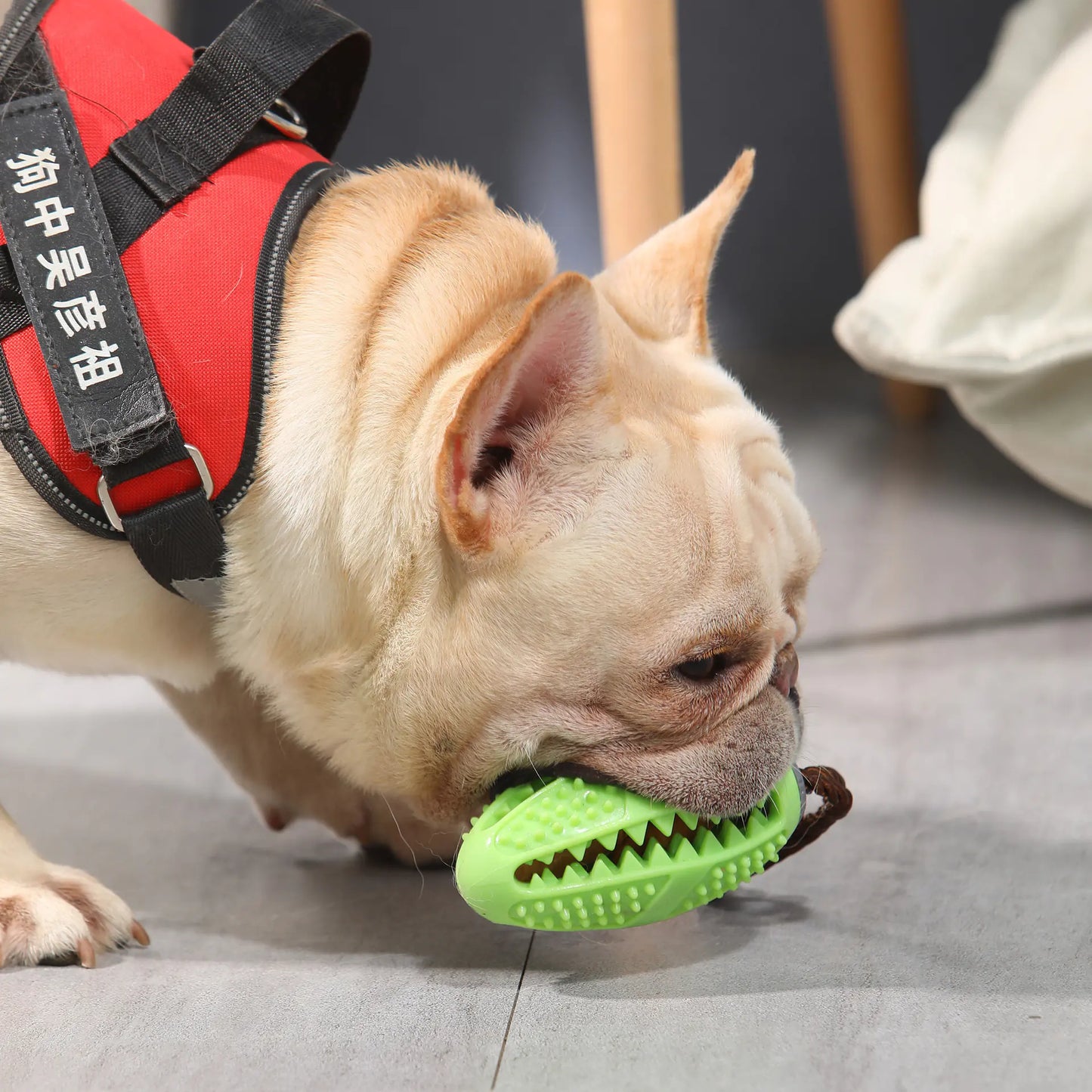 Interactive Dog Food Leakage Toy - Elastic Rubber Ball